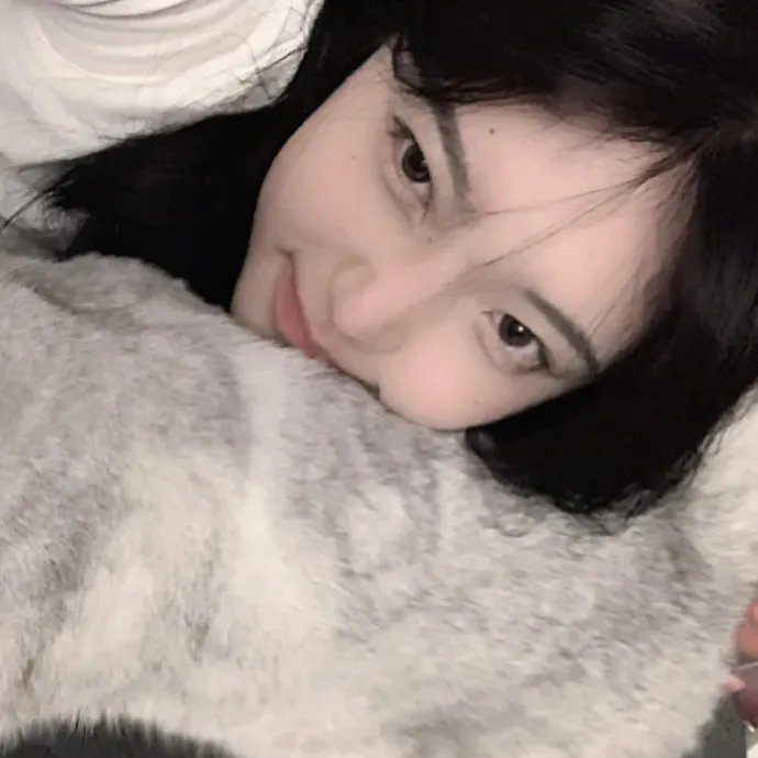 芝拉克2015